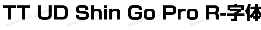 TT UD Shin Go Pro R字体转换